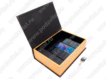 Ультразвуковой акустический сейф SPY-box Шкатулка-1 Smart-П